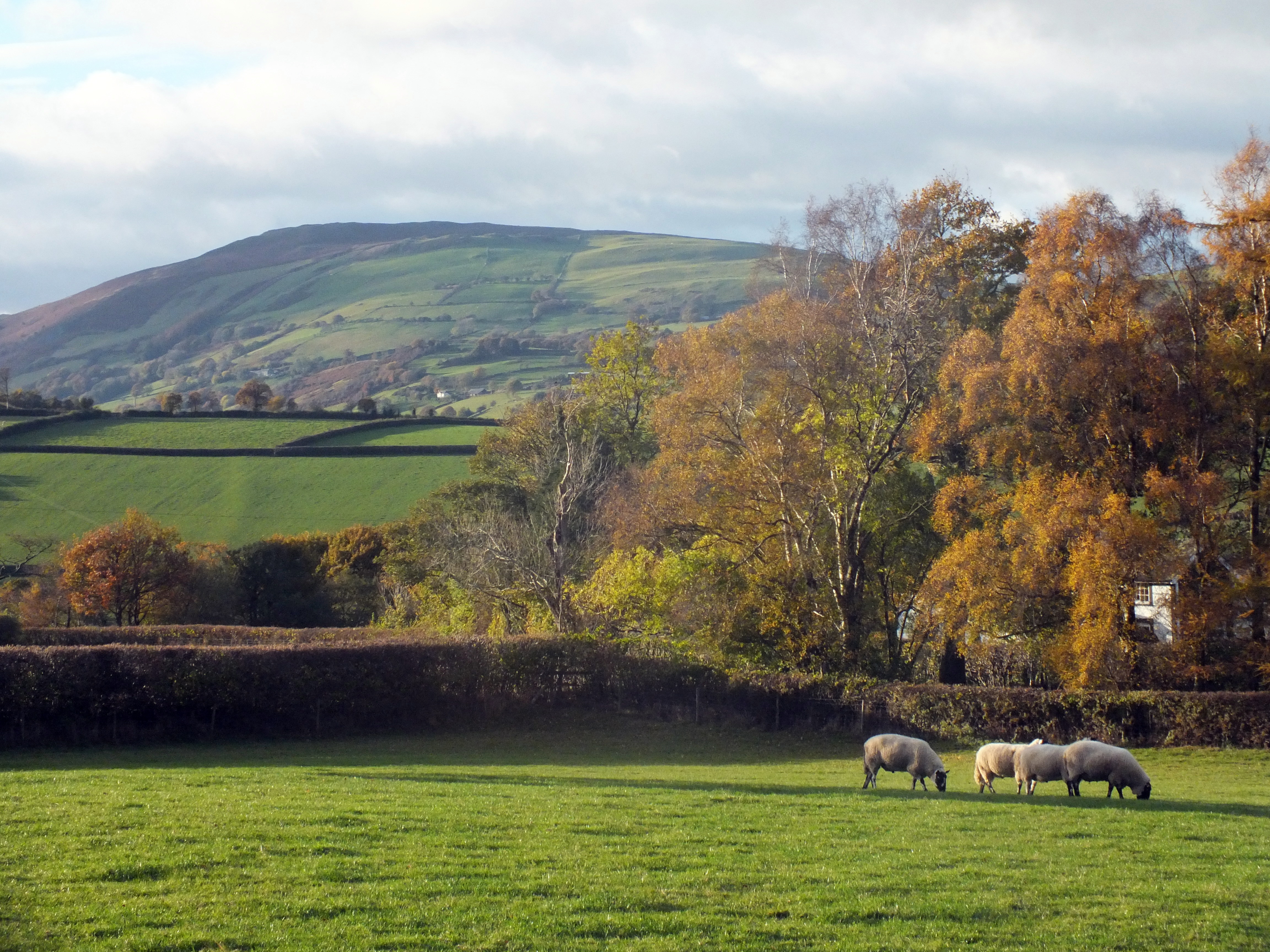 AUTUMN AND THE VAN HILL> Bill Bagley Photography